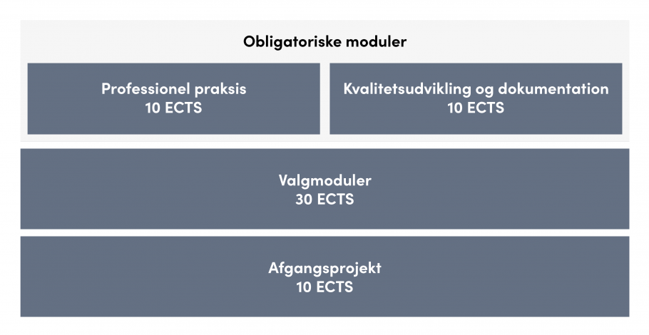 Oversigt over uddannelsens opbygning