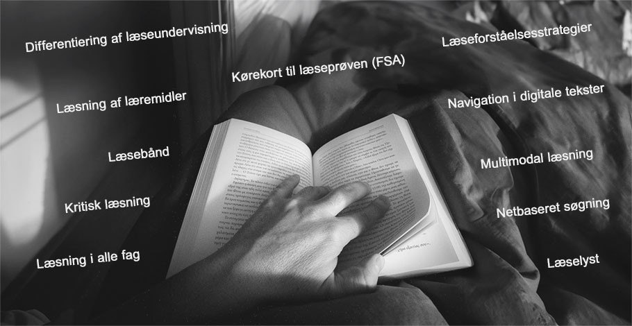Rundt om læsning - emner