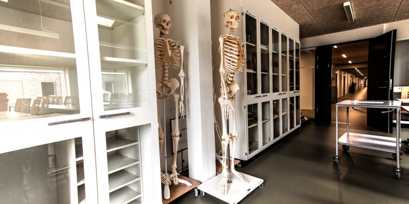 Foto af Campus Aabenraa