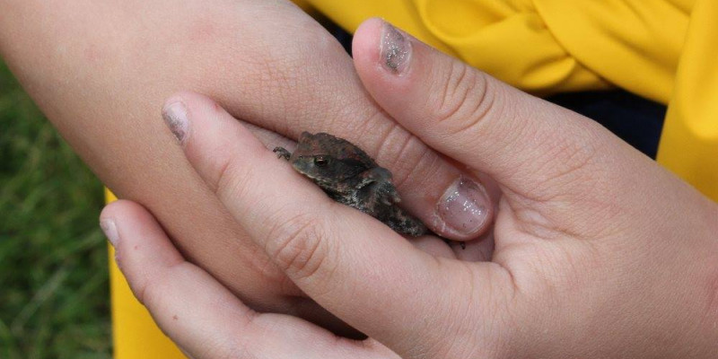 Akademiuddannelse i friluftsvejledning - mikroeventyr